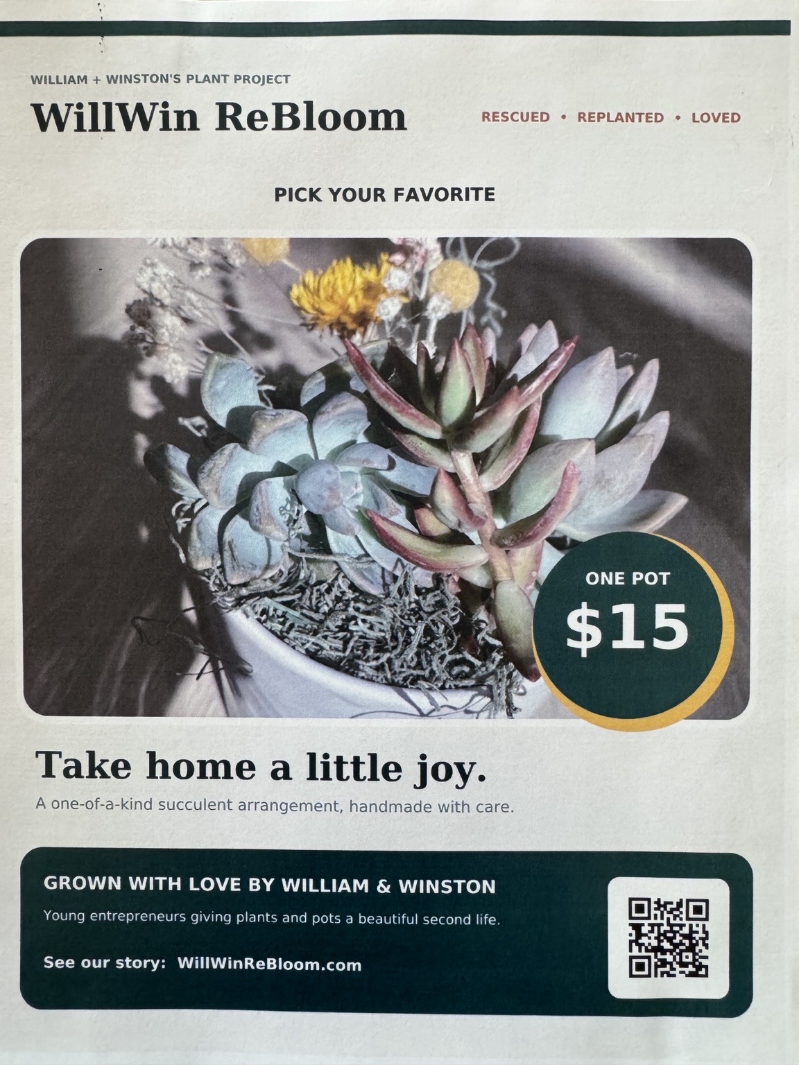 WillWin ReBloom sign advertising one succulent pot for fifteen dollars